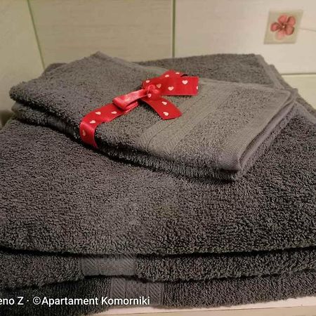 Apartament Komorniki コモルニキ エクステリア 写真