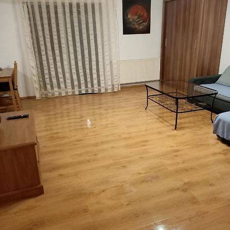 Apartament Komorniki コモルニキ エクステリア 写真